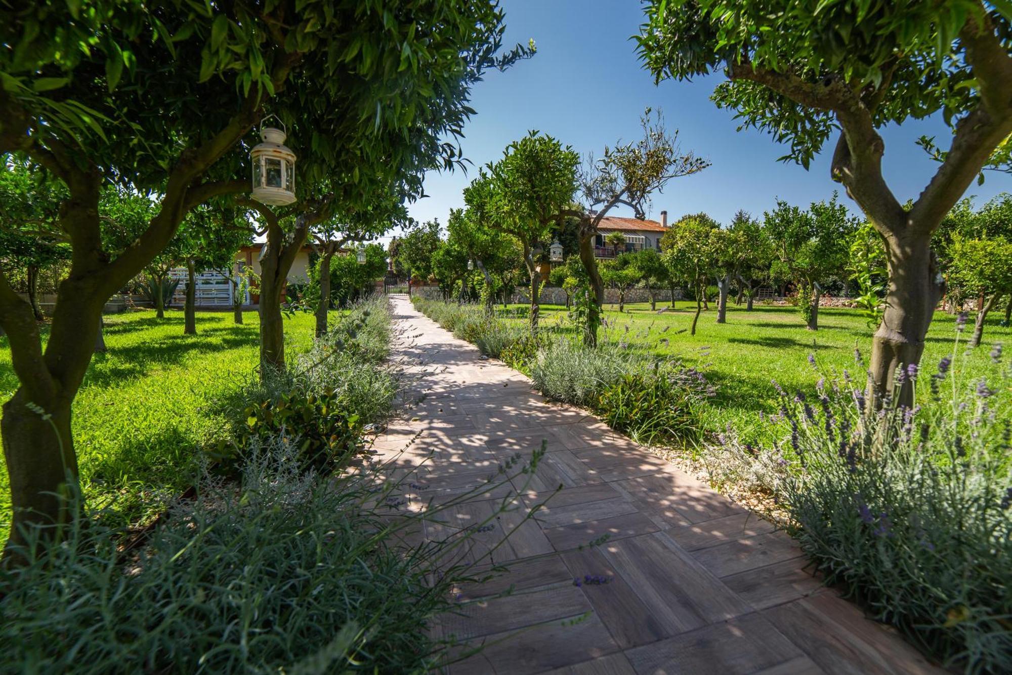 I Lecci Guesthouse San Felice Circeo Exterior foto